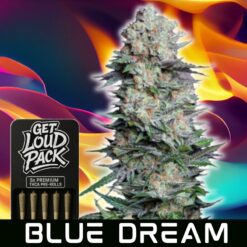 Blue Dream - THCA Flower Pre-Rolls
