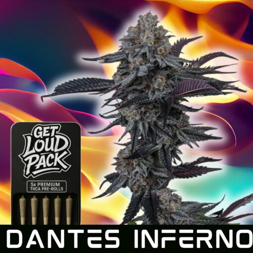 Dante's Inferno - THCA Flower Pre-Rolls