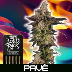 Pavé - THCA Flower Pre-Rolls
