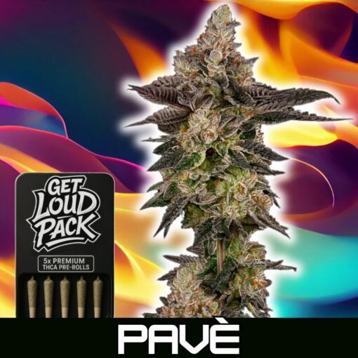 Pavé - THCA Flower Pre-Rolls