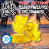 FAST ACTING – Island Pineapple THC Gummies